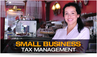 Small Business Tax Management